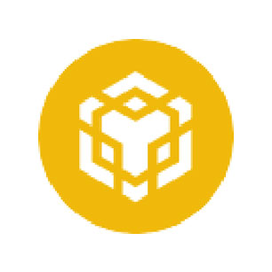 BNB 區(qū)塊鏈項(xiàng)目