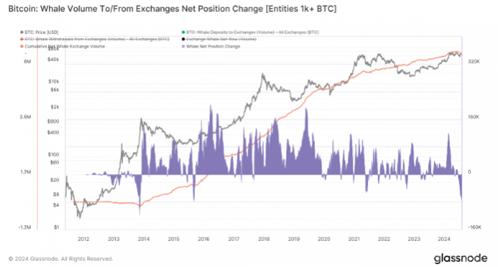 Bitcoin鯨魚交易量創9年新高，價格觸底跡象顯現圖片