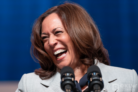 賀錦麗團隊大力推進Crypto議題：與業界高層頻繁&nbsp;圖片