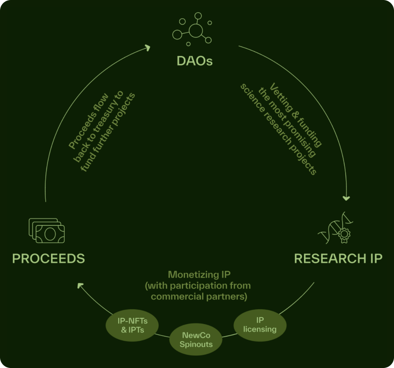 詳解BIO Protocol及DeSci領(lǐng)域項(xiàng)目如何革新科研&nbsp;圖片